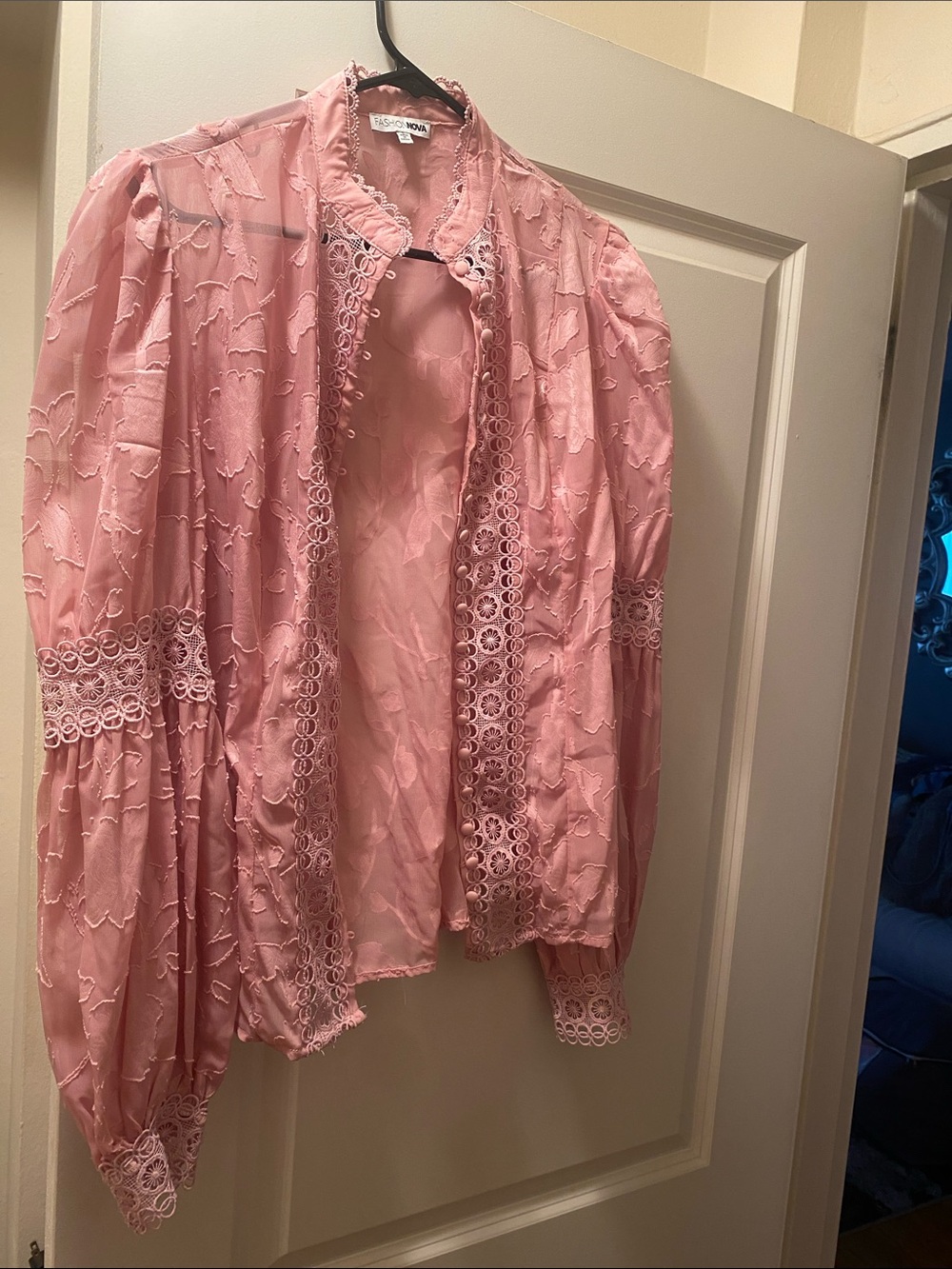 Fashion Nova Pink Lace-Trim Sheer Blouse